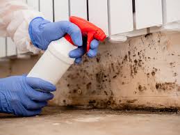 Best Industrial Mold Remediation  in St Cloud, FL